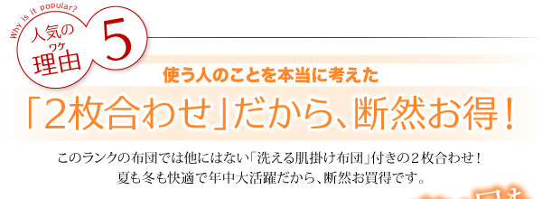 20色羽根布団8点セット19